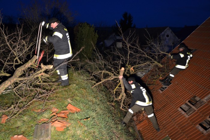 Sturmschaden in Gobelsburg und Zeiselberg