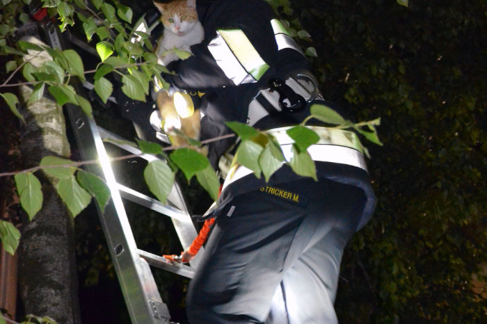 Nächtliche Tierrettung in Etsdorf