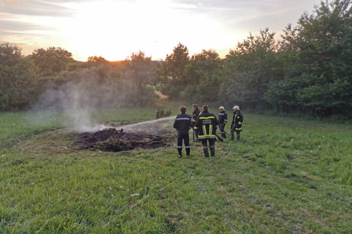 B2 Waldbrand für die FF Thürneustift und Plank am Kamp